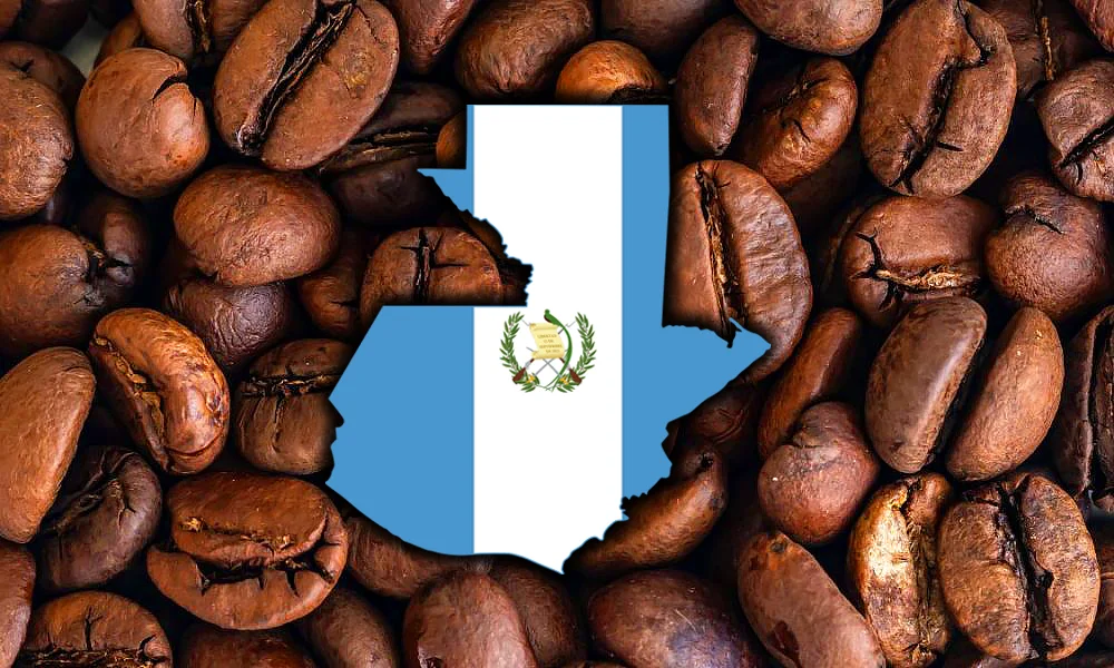 Flaga Gwatemali na tle kawy